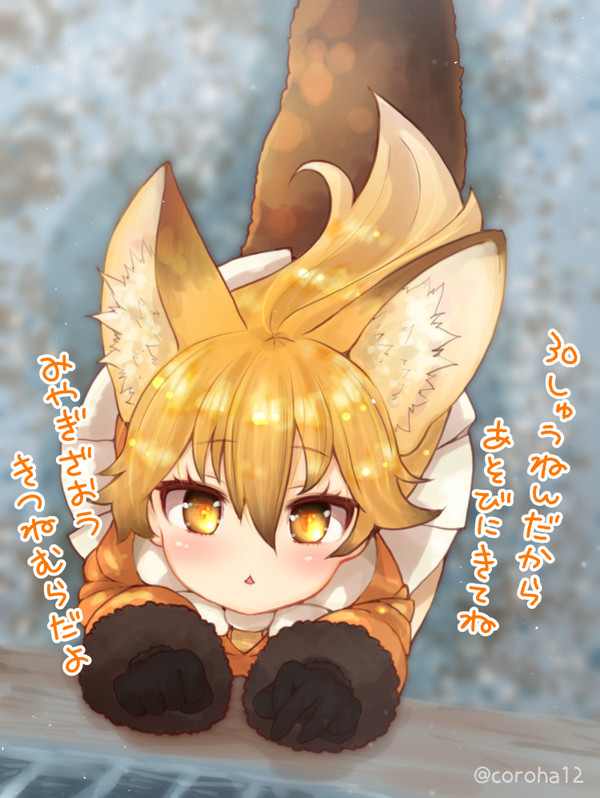 こんこんきつねむら