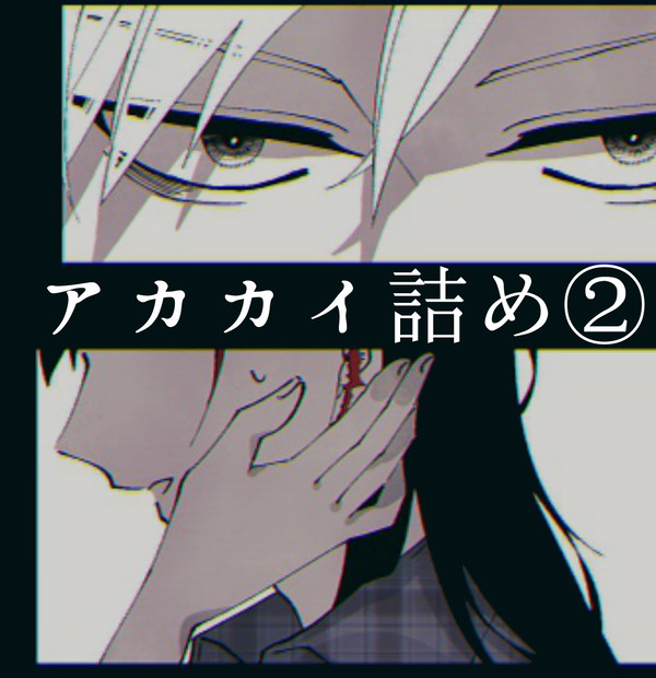 アカカイ詰め②