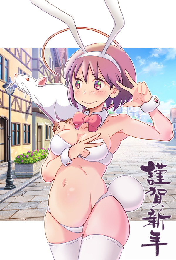 謹賀新年(*´∀`*)