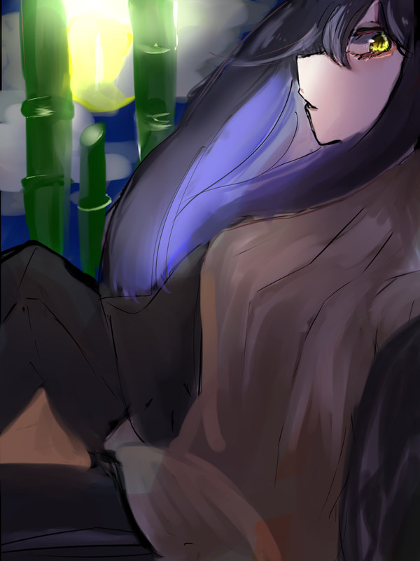 綺麗な竹の姫