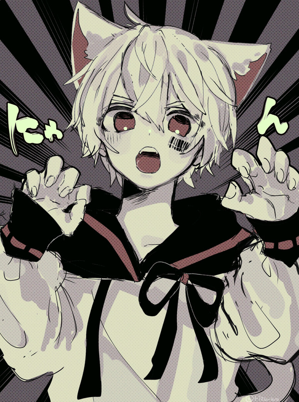 ねこmf