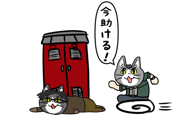 デトバ猫３