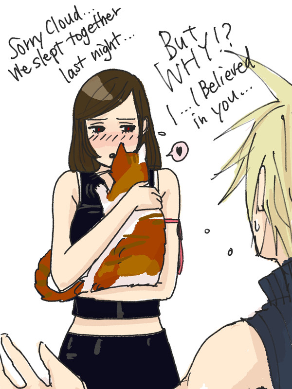猫vsクラウド🐈🐈