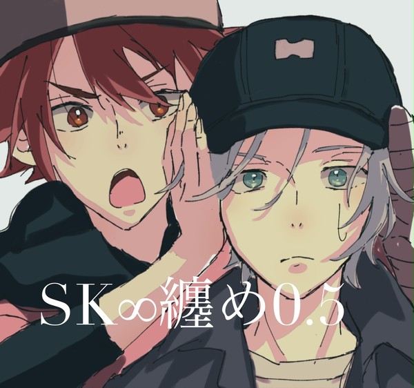 SK∞纏め0.5