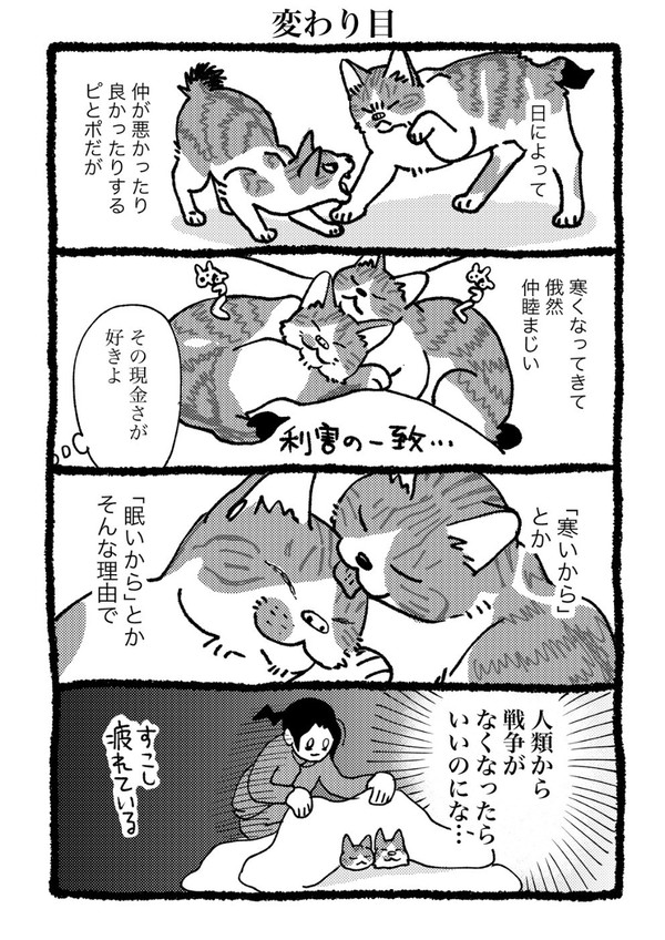 勝手に猫遊び④