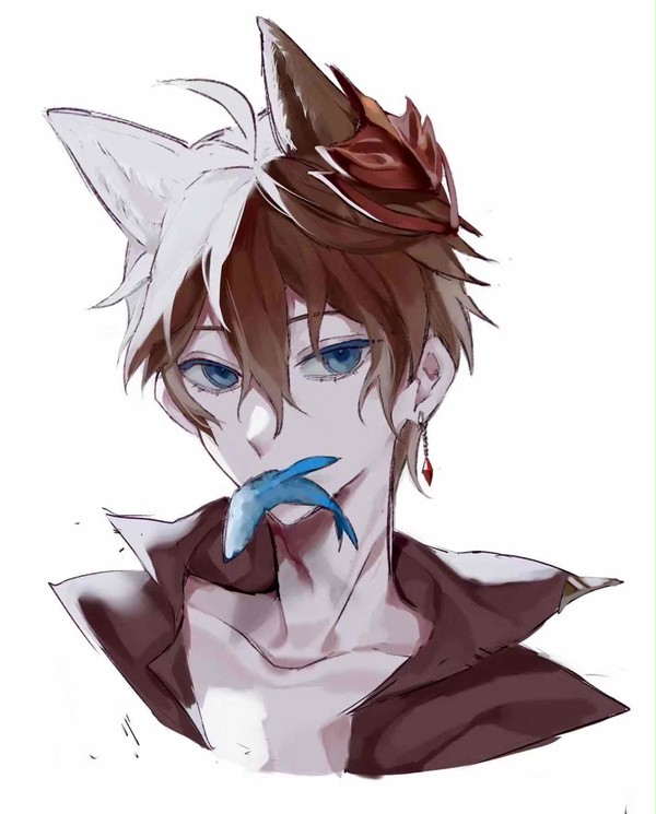 🦊🐳