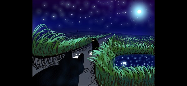猫専用道路