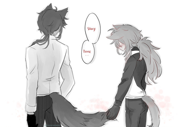Stay