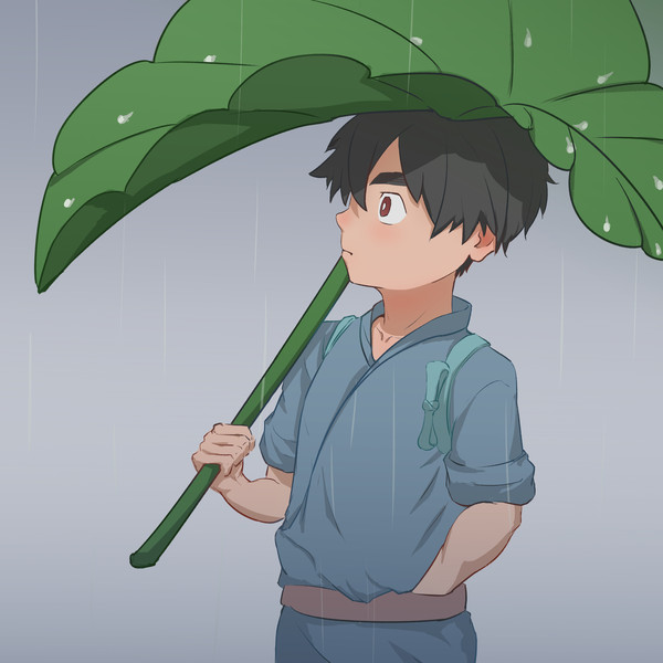 荷叶伞-夏羽