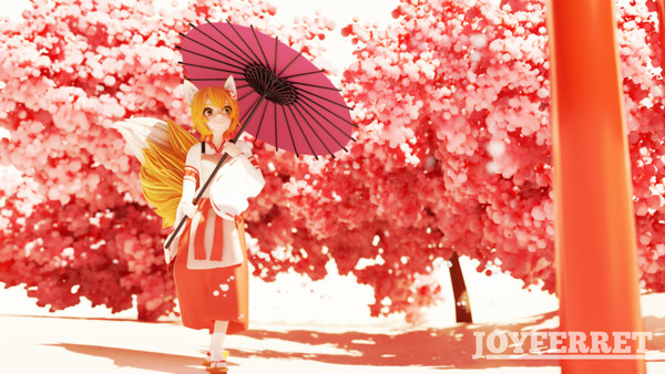 Senko under cherry blossoms