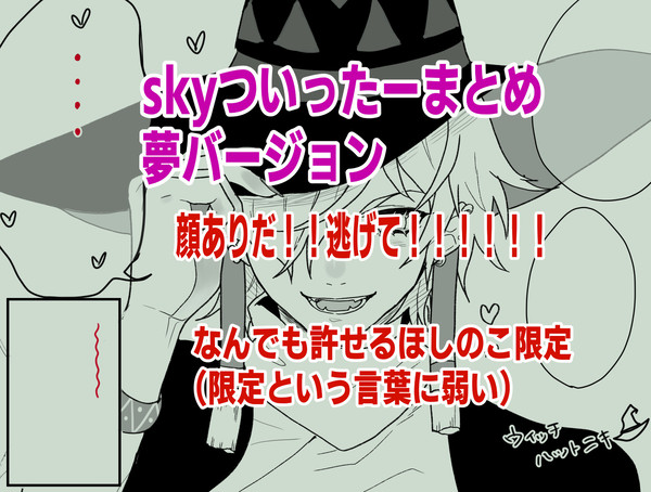 sky 夢まとめ