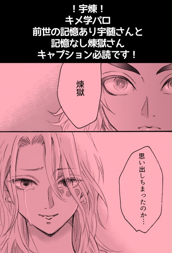 宇煉詰め合わせ(キャプション必読です)