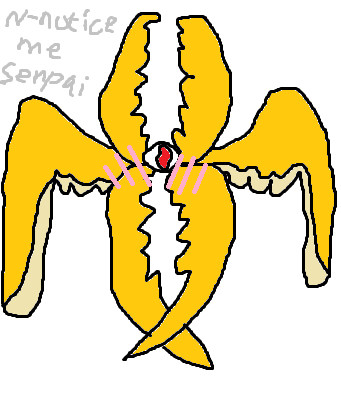 Seraphim