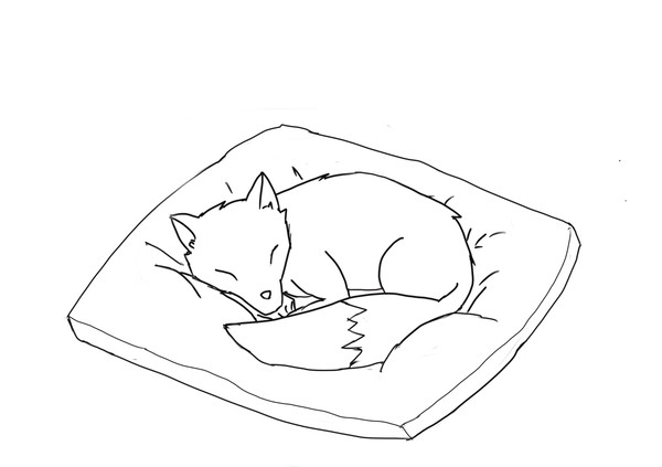 狐