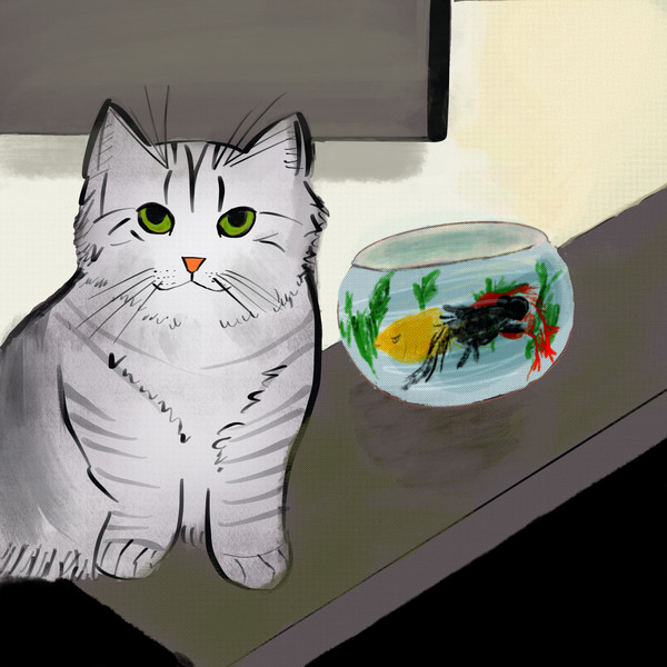 「绘画练习」Meow