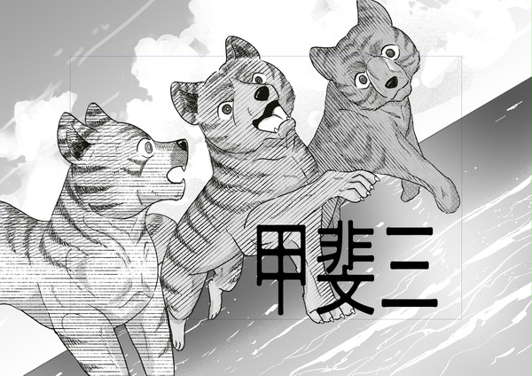甲斐三