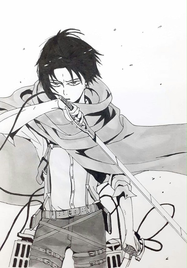 Levi