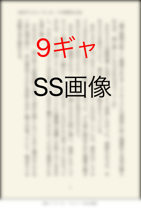 9ギャSS画像