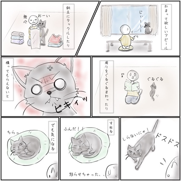 かまちょ