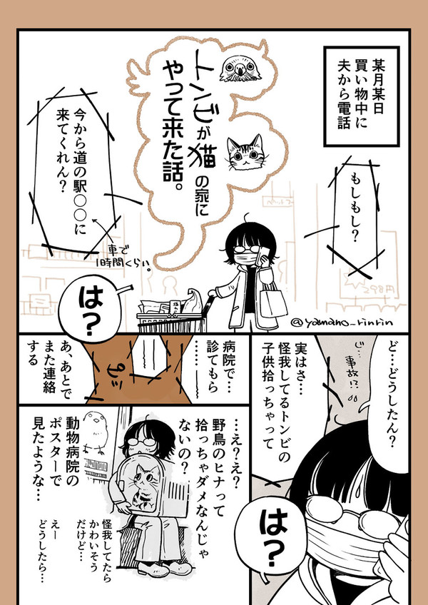 トンビ(ノスリかも)保護レポート漫画