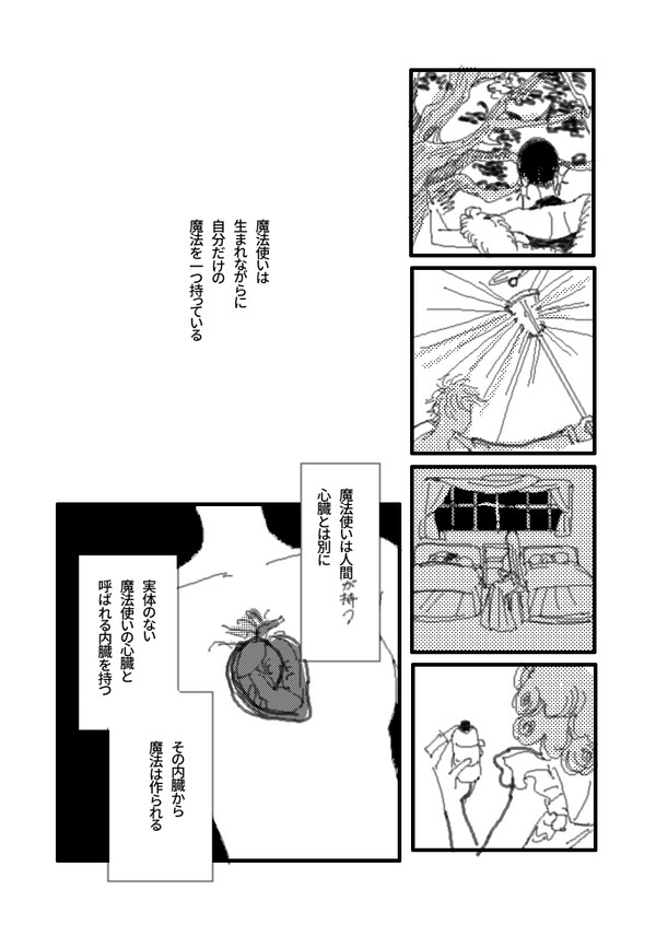 花弁の裏側