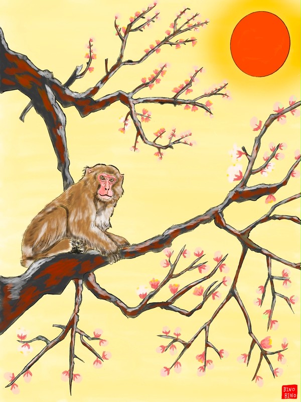 A Monkey