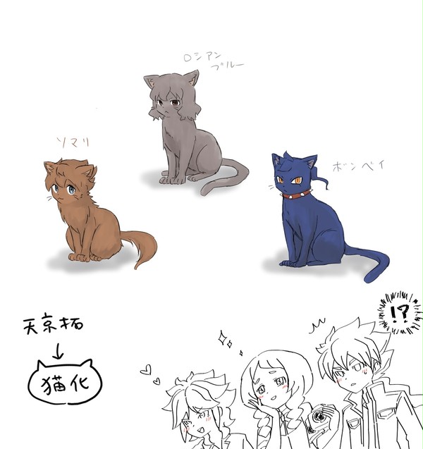 天京拓→猫化