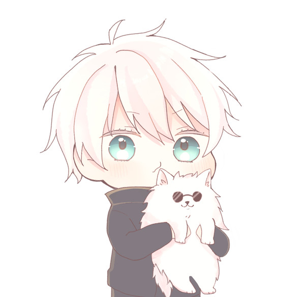 🐈🐈🐈