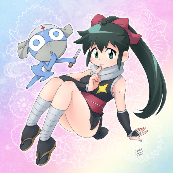 忍者の日。