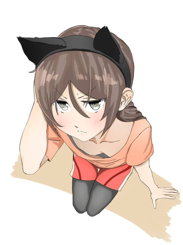 猫耳夏凜