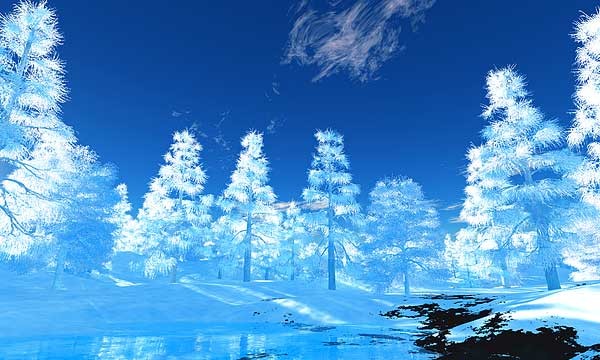 冬 No245-rpl