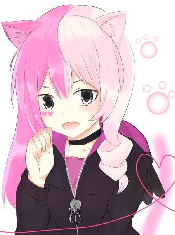 猫メグメグฅ^•ﻌ•^ฅ