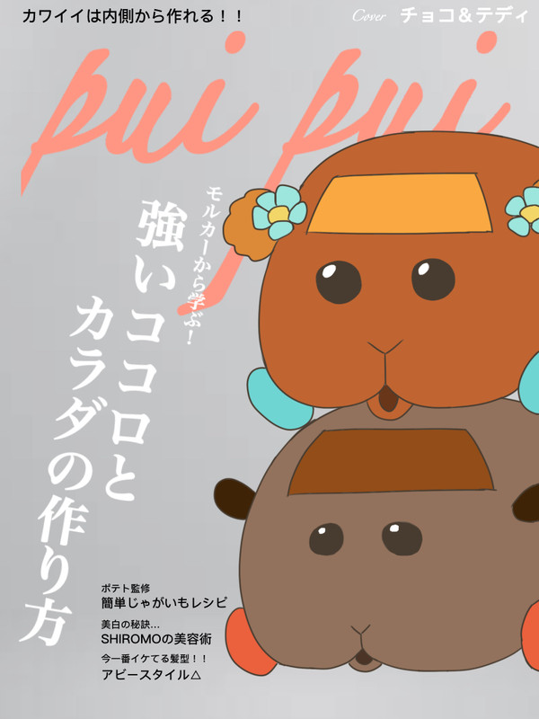 モルカー雑誌　pui pui
