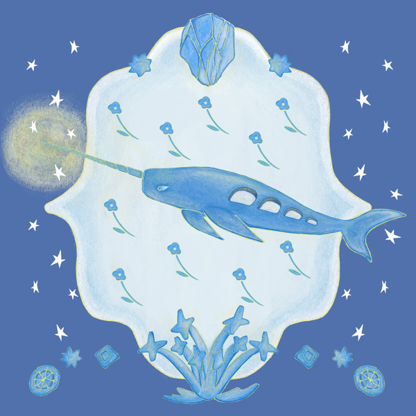 🐋 🌊narwhale train ；to the tran