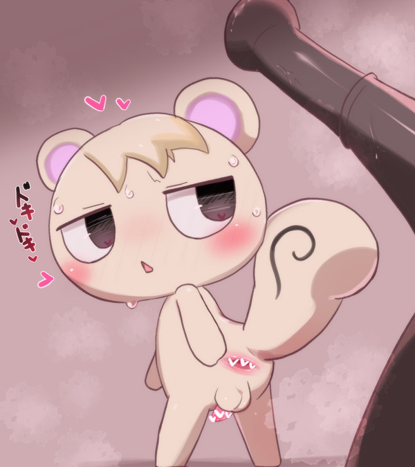 ジュンくん