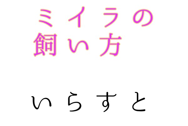 ミイラの飼い方 log