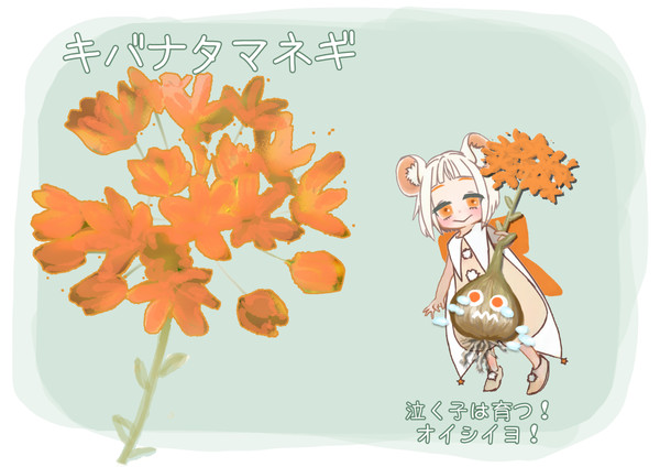 【PFMOH】キバナタマネギ