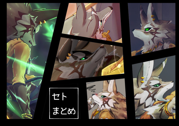 セトくんlog