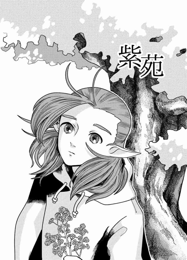 紫苑【無料配布】