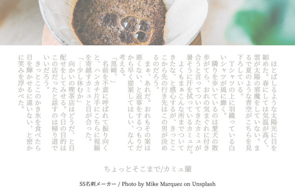 自家通販のお知らせ+カミュ蘭SSまとめ