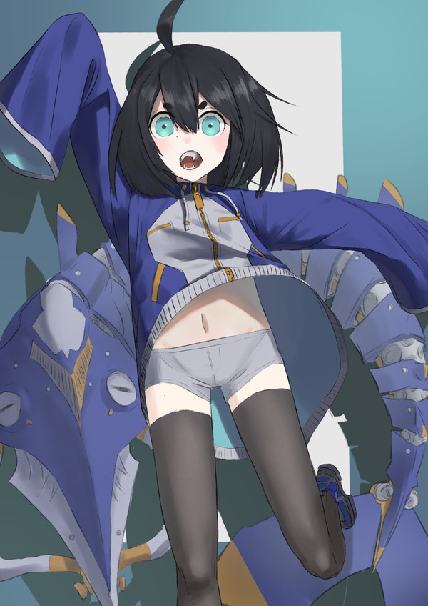 初投稿