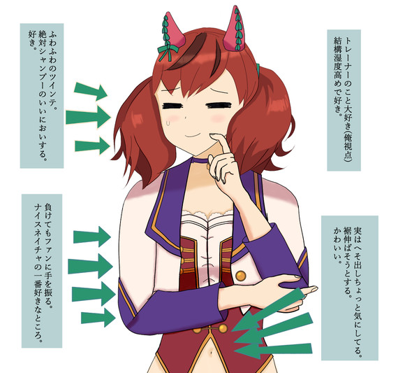 ナイスネイチャのここが好き