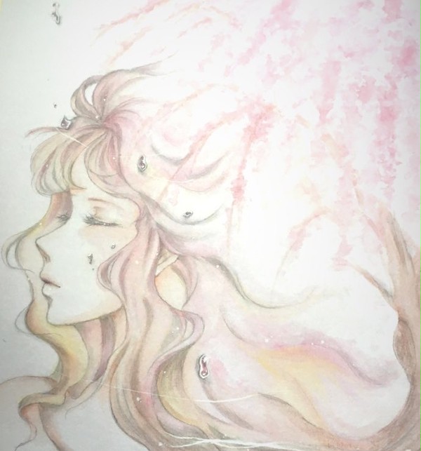 隠れ桜