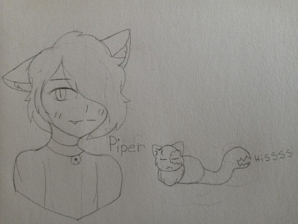 Redesign of Piper
