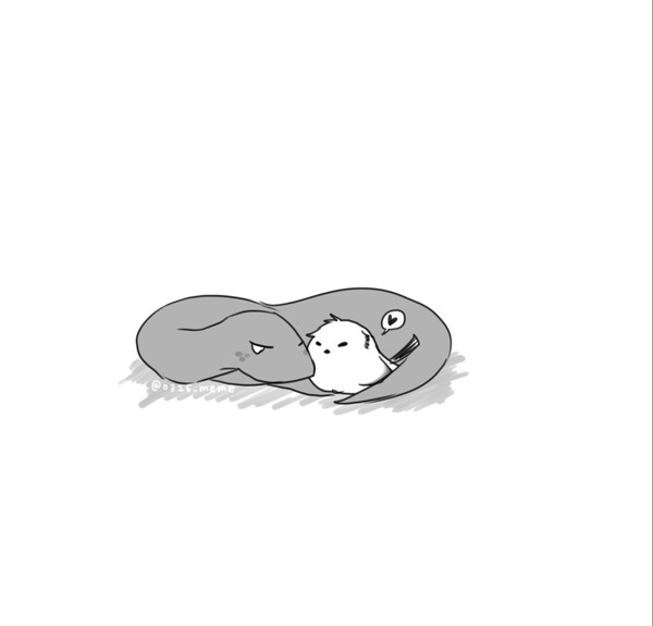舟浮梅まとめ