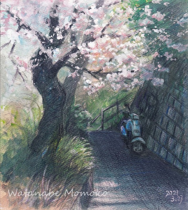 桜坂2021