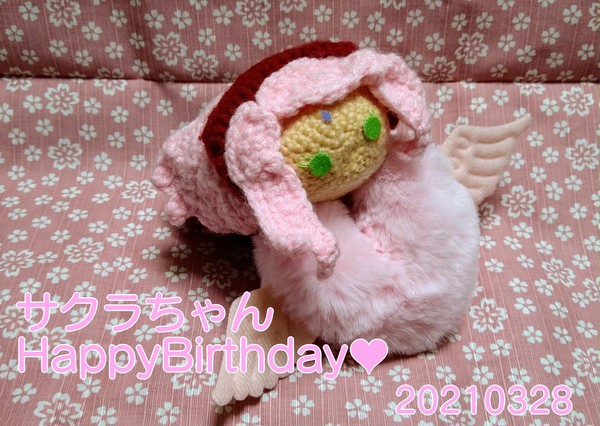 サクラちゃん、お誕生日おめでとうございます🌸