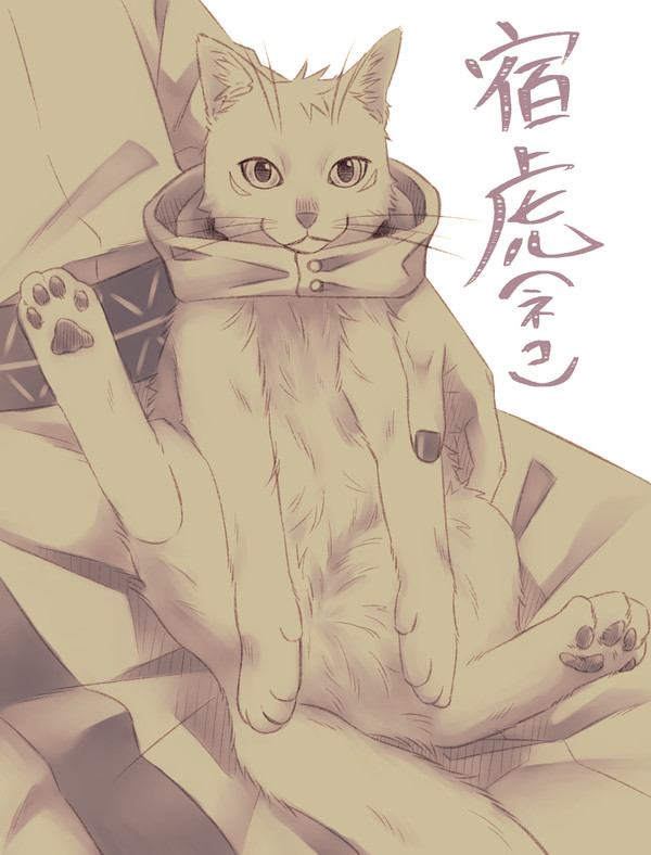 宿虎を少々(ネコ)
