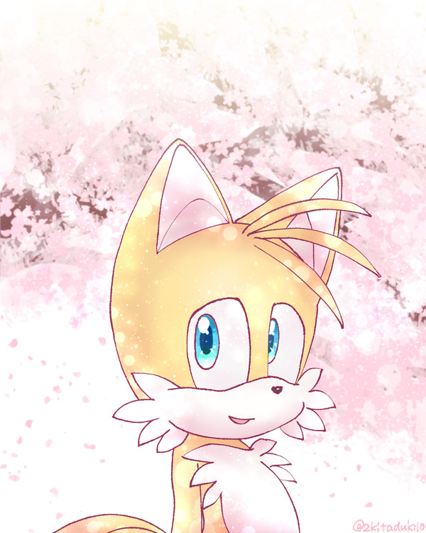 サクラサク