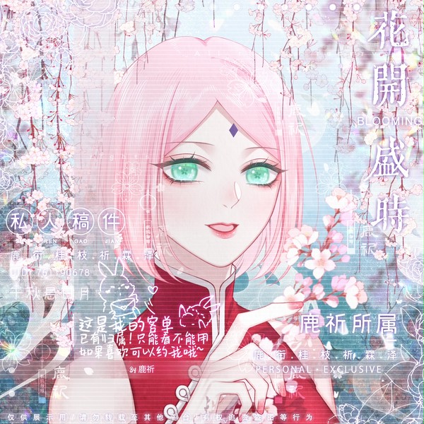 HB to 春野樱